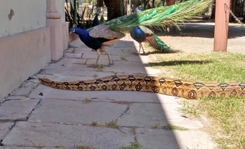 Imagen de la nota: Vacaciones de Invierno: las actividades para este sábado