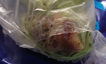 Perros envenenados: los análisis toxicológicos estarán en agosto Imagen de la nota: Perros envenenados: los análisis toxicológicos estarán en agosto