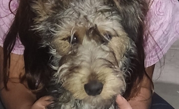 Imagen de la nota: India no aparece desde el domingo y su familia la busca desesperadamente en la zona de 