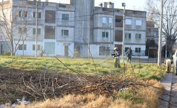 Imagen de la nota: El Municipio licita el mantenimiento de espacios verdes por $554 millones