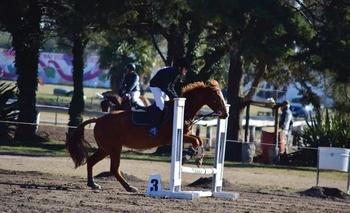 Imagen de la nota: Hipismo: hubo encuentro en Estudiantes