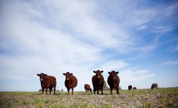 Imagen de la nota: Derogaron varias normas que impactarían en la industria ganadera y la pesca