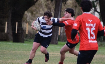 Imagen de la nota: Rugby: Estudiantes fue local con todas sus categorías