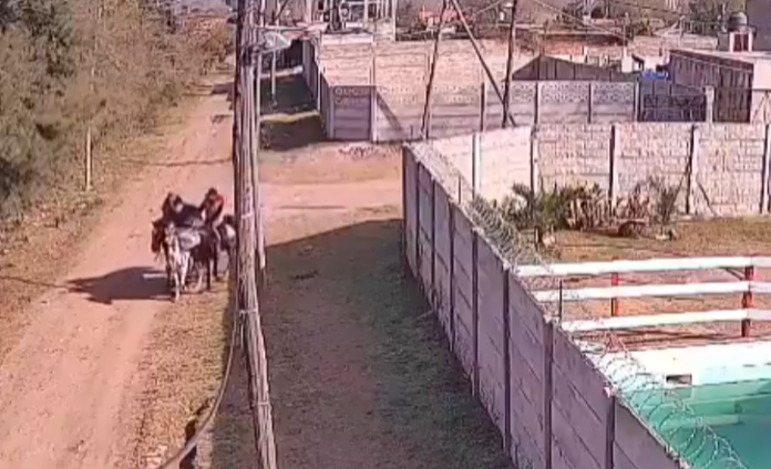 imagen mas leída seccion 