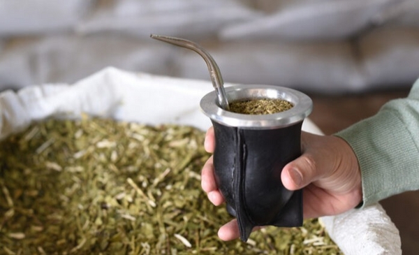 Las razones por las que es bueno para la salud tomar mate
