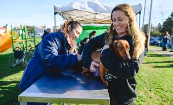 Imagen de la nota: Se desplegarán nuevos bloqueos ante la detección de rabia en dos murciélagos