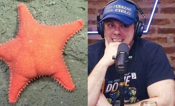 Imagen de la nota: El streaming del CONICET aplastó al Gordo Dan: tuvo 5 veces más vistas que La Misa de Carajo!