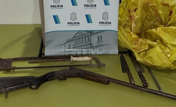 Imagen de la nota: Imputaron a tres hombres por faenar el potrillo de una niña 