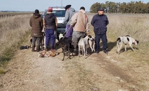 Imagen mas leída