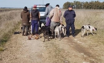 Imagen de la nota: Cuatro hombres infraccionados por caza furtiva en Loma Negra