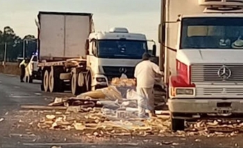 Imagen de la nota: Volcó un camión con cerdos faenados en la Ruta 51