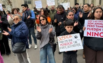 Imagen de la nota: Bolívar: un centenar de perros envenenados movilizó a la comunidad