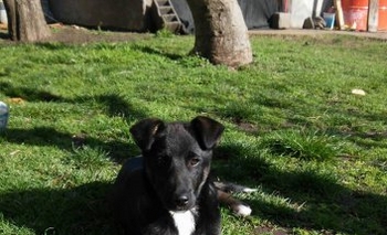 Imagen de la nota: Este 