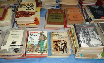 Imagen de la nota: Feria de libros usados este sábado