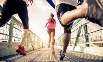 Imagen de la nota: ¿Sos sedentario? Este estudio demuestra los motivos