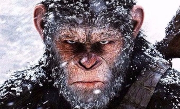 Imagen de la nota: Estreno en Flix Cinema: “El planeta de los simios”