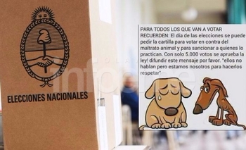 Imagen de la nota: Viral contra maltrato animal busca impugnar el voto