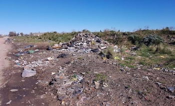 Imagen de la nota: Realizan la limpieza de basurales a cielo abierto