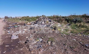 Imagen de la nota: Realizan la limpieza de basurales a cielo abierto
