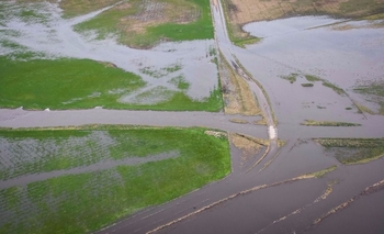 Imagen de la nota: Bajo agua:  imágenes de Bolívar, Alvear y Daireaux