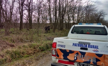 Imagen de la nota: Caminos rurales: policía debió asistir a un bebé 
