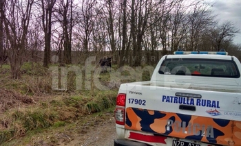 Imagen de la nota: Infraccionan a productores por animales sueltos 