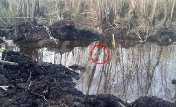 Imagen de la nota: Hallaron restos humanos en la avioneta caída en el Delta