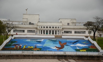 Presentarán “Jaque Mate” en la Casa del Bicentenario Imagen de la nota: Presentarán “Jaque Mate” en la Casa del Bicentenario