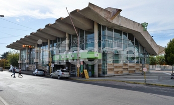 Imagen de la nota: Se levantó el paro de la UTA