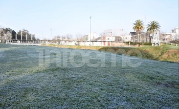 Imagen de la nota: Olavarría blanca: otra helada más y van…