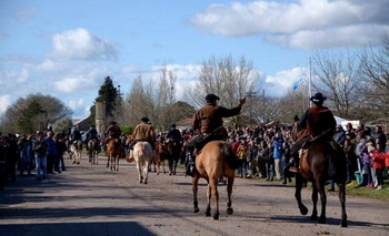 Imagen de la nota: Nueva edición de la Fiesta del Caballo en Santa Luisa
