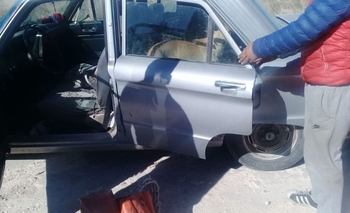 Imagen de la nota: Infraccionan a seis locales por caza con galgos