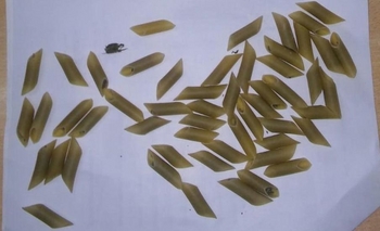 Imagen de la nota: General Alvear: Escondieron droga en una bolsa de fideos