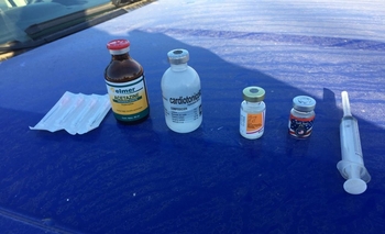 Imagen de la nota: Efectivos del Comando Rural en operativos por carreras hípicas