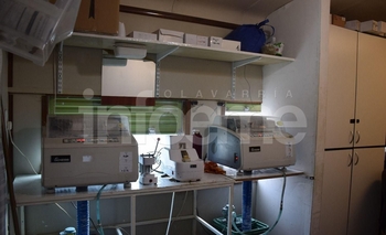 Se realizará una Jornada Provincial de Salud Integral Imagen de la nota: Se realizará una Jornada Provincial de Salud Integral