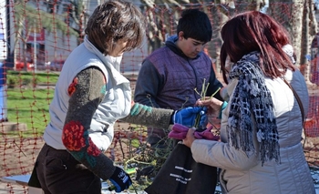 Nueva poda de rosales en la Plaza Central Imagen de la nota: Nueva poda de rosales en la Plaza Central