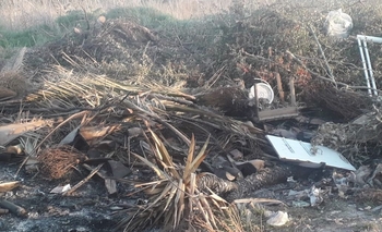 Queja de vecinos por basura en terrenos baldíos Imagen de la nota: Queja de vecinos por basura en terrenos baldíos