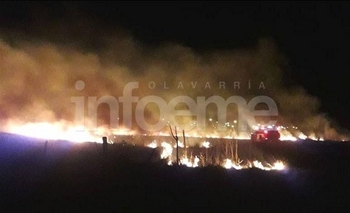 Imagen de la nota: Video: voraz incendio de pastizales en Colonia Hinojo