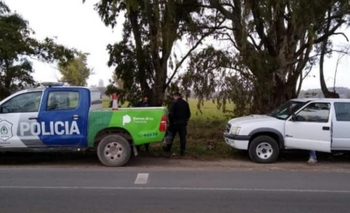 Imagen de la nota: Indignante: lo sorprendieron cuando talaba árboles