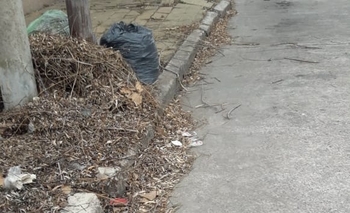 Imagen de la nota: Denuncian microbasurales en Pueblo Nuevo 