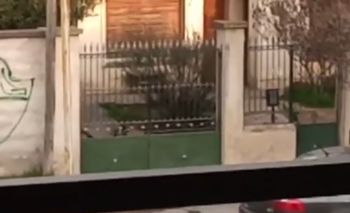 Imagen de la nota: Un perro enloquece a San Vicente: ladra todo el día