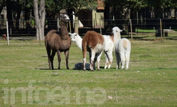 Post Covid-19: vuelven las visitas educativas a “La Máxima” Imagen de la nota: Post Covid-19: vuelven las visitas educativas a “La Máxima”