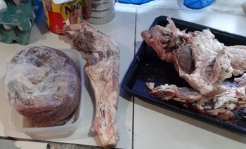 Secuestraron casi 300 kilos de carne Imagen de la nota: Secuestraron casi 300 kilos de carne
