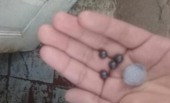 Video: tiros y corridas en el barrio Sarmiento Imagen de la nota: Video: tiros y corridas en el barrio Sarmiento