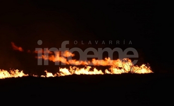 Imagen de la nota: Feroz incendio cerca de la fábrica calera Avellaneda