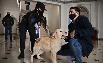 Imagen de la nota: Conan, el perro entrenado para luchar contra el narcotráfico