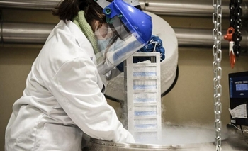 Imagen de la nota: Coronavirus en Argentina: más de 8 mil casos en las últimas horas