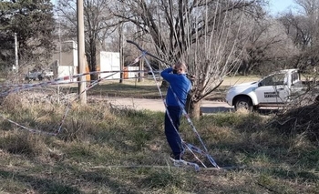 Imagen de la nota: Usurpaciones: intendente desarmó una demarcación ilegal