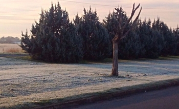 La semana arranca con frío intenso: cómo seguirá el clima Imagen de la nota: La semana arranca con frío intenso: cómo seguirá el clima