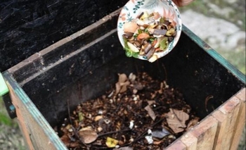 Imagen de la nota: Brindaron talleres de compostaje en una escuela primaria